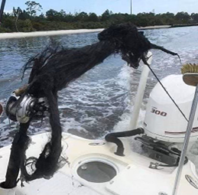 BlueWater Outriggers Fishing Report 7-3-2024