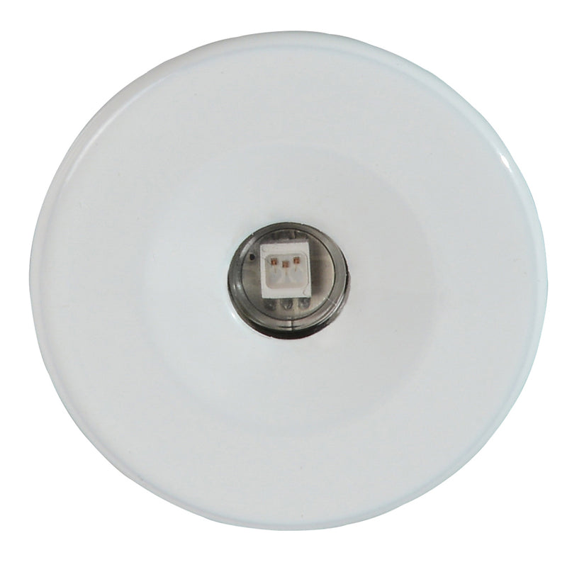 Lumitec Echo Courtesy Light  White Housing  White Light 112223