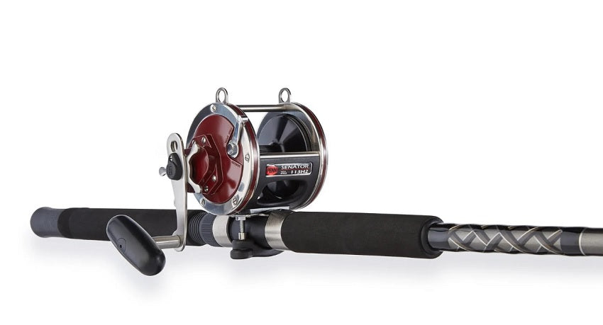 Penn Special Senator Star Drag Conventional Rod and Reel Combo 113H2