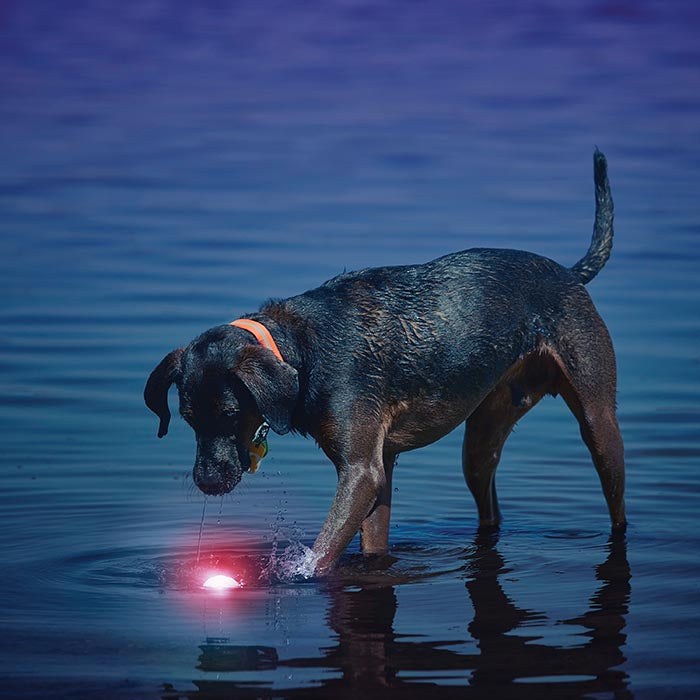 Nite Ize GlowStreak LED Ball for Pets DISC-O