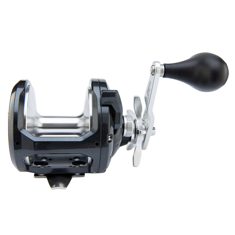 Shimano Torium 50HG Conventional Reel TOR50HGA