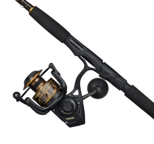  PENN Passion II Spinning Reel and Fishing Rod Combo