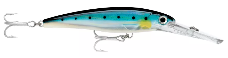 Rapala Saltwater X-Rap Magnum Blue Sardine