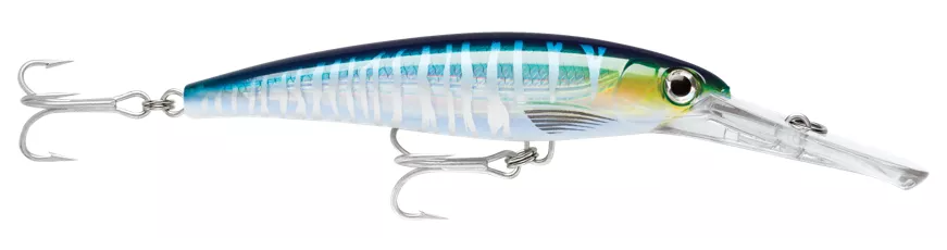 Rapala Saltwater X-Rap Magnum 40 Wahoo